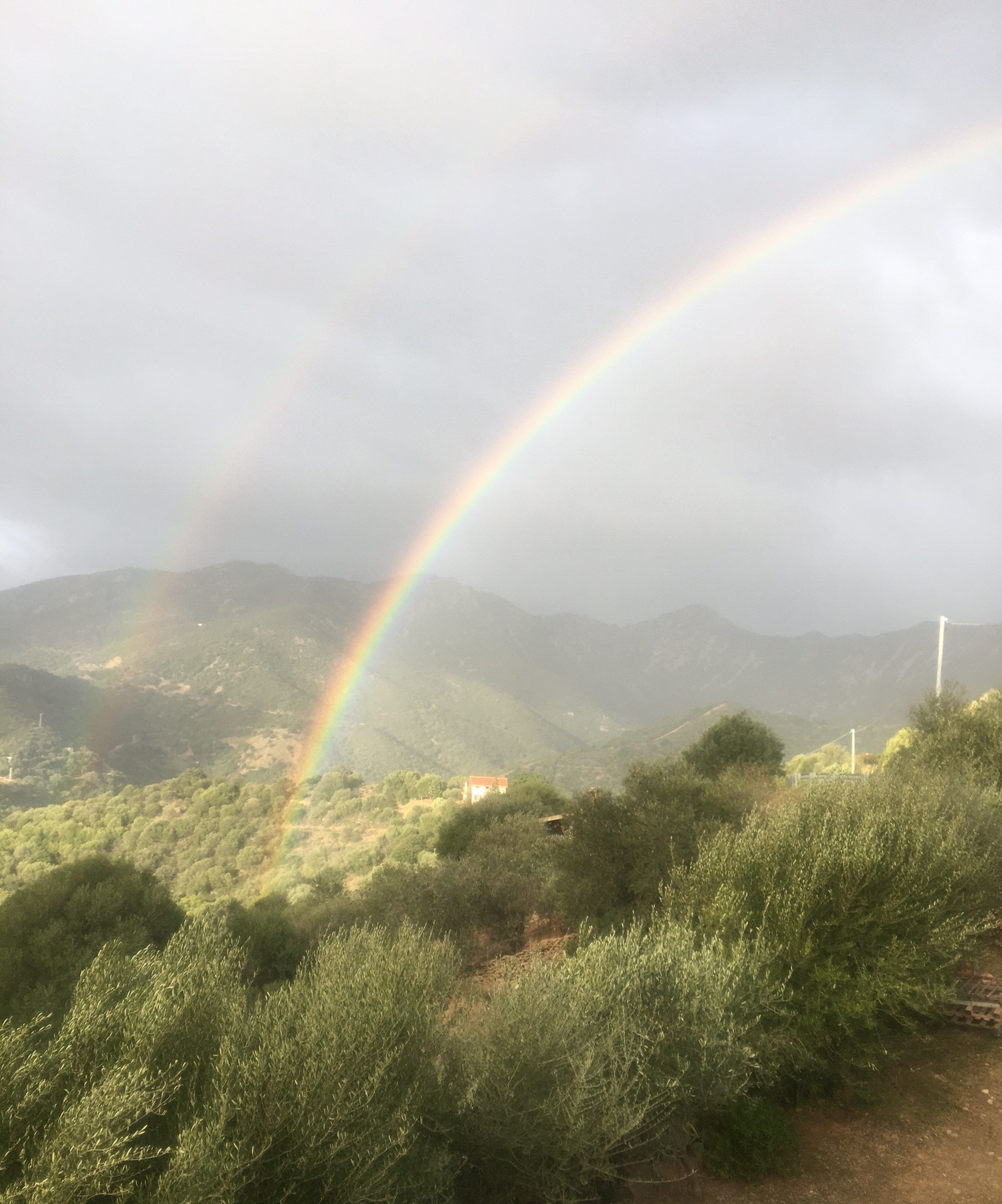 Regenbogen über Brunella.JPG