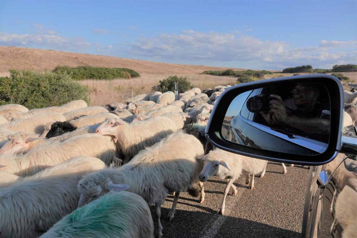 Man sollte auf den Straßen von Sardinien nicht zu schnell fahren.