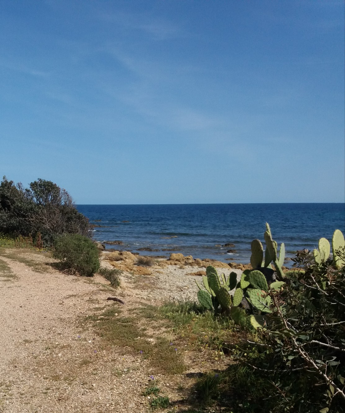 Lungomare Porto Corallo.jpg