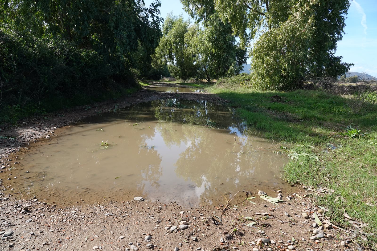 ES_02749.jpg