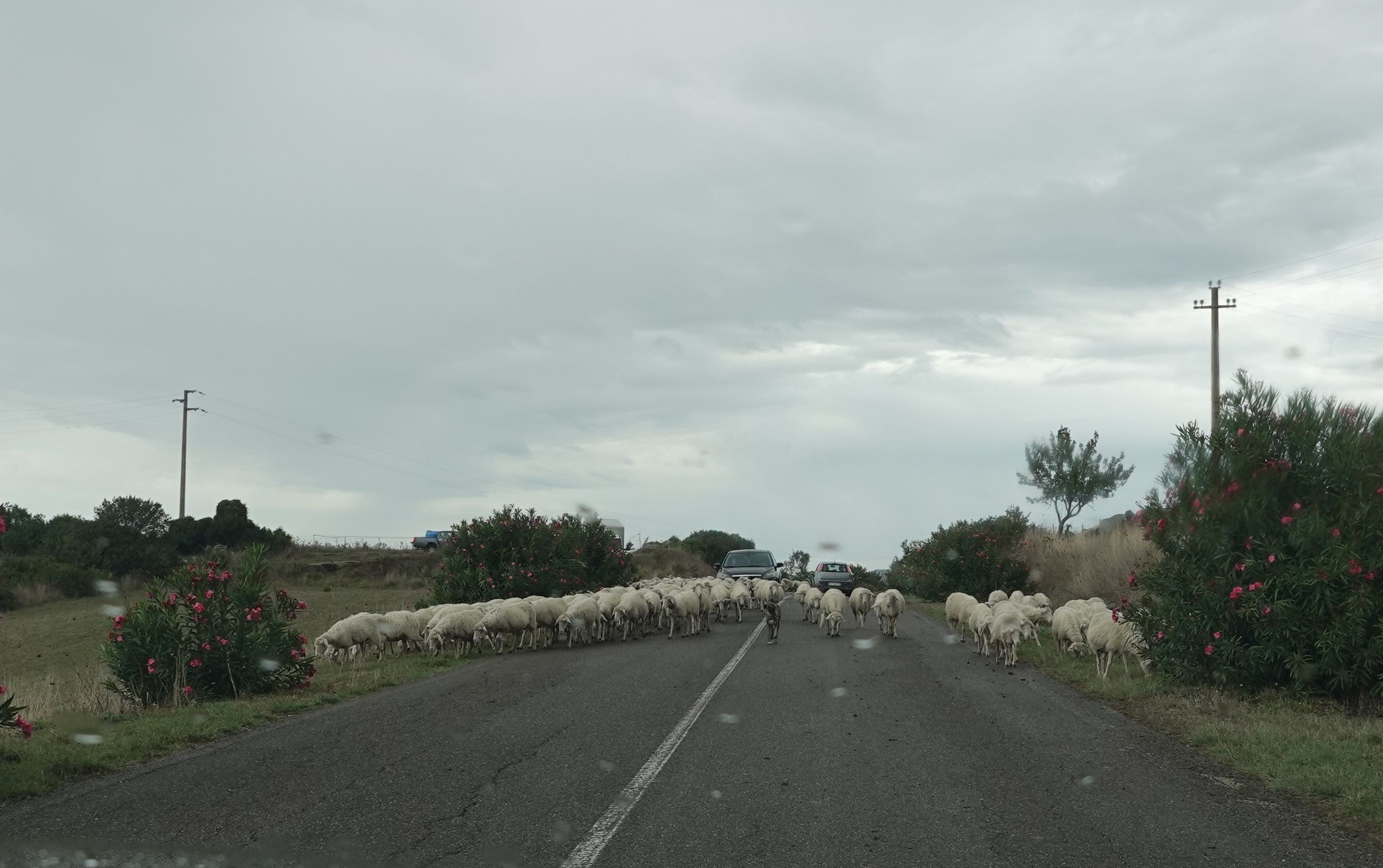 ES_05808.JPG