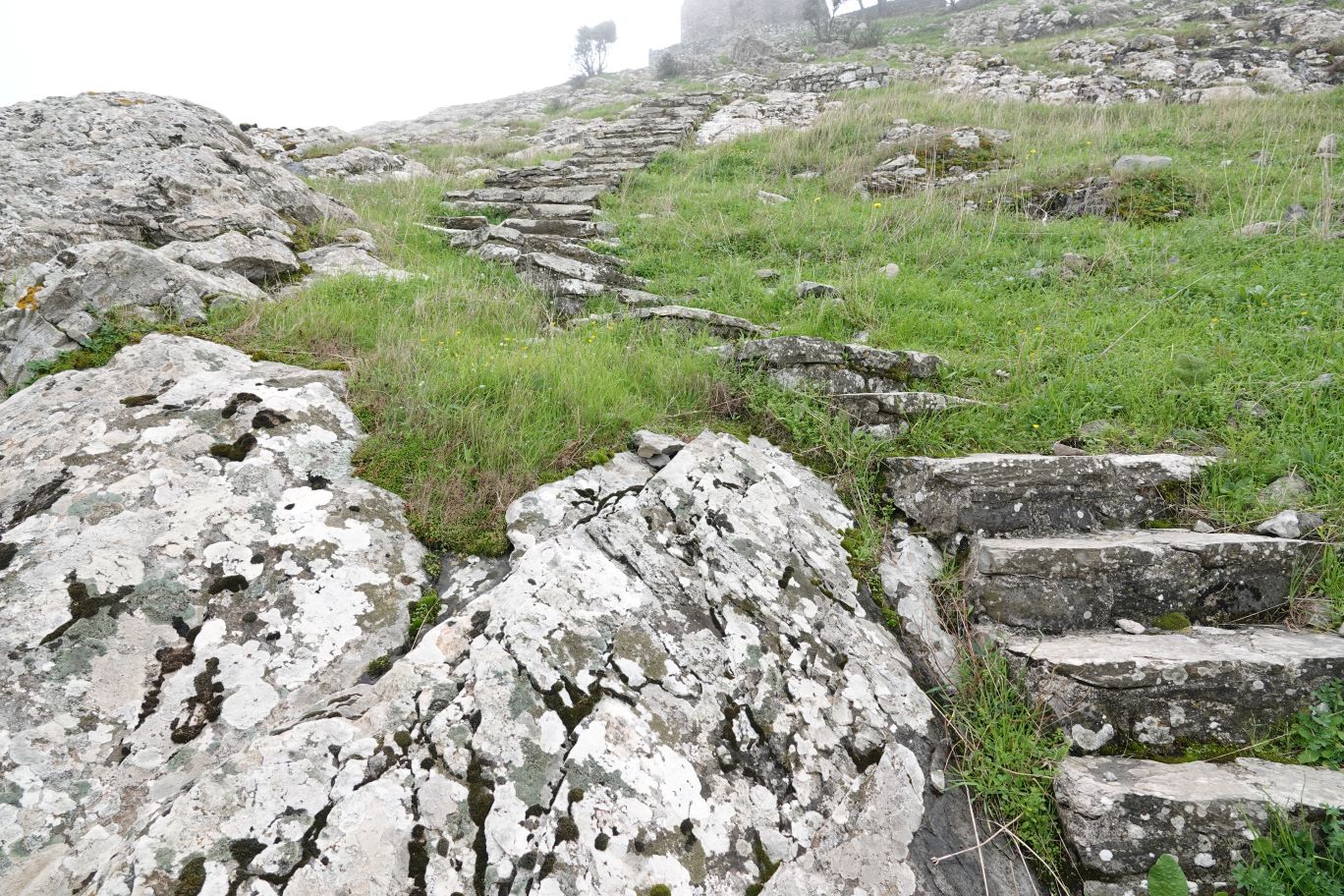 ES_05825.JPG