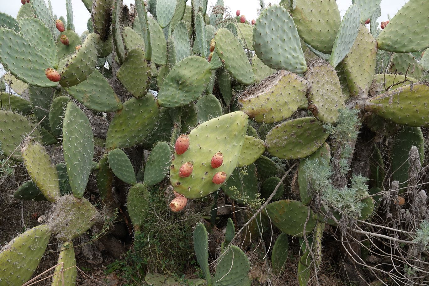 ES_05874.JPG