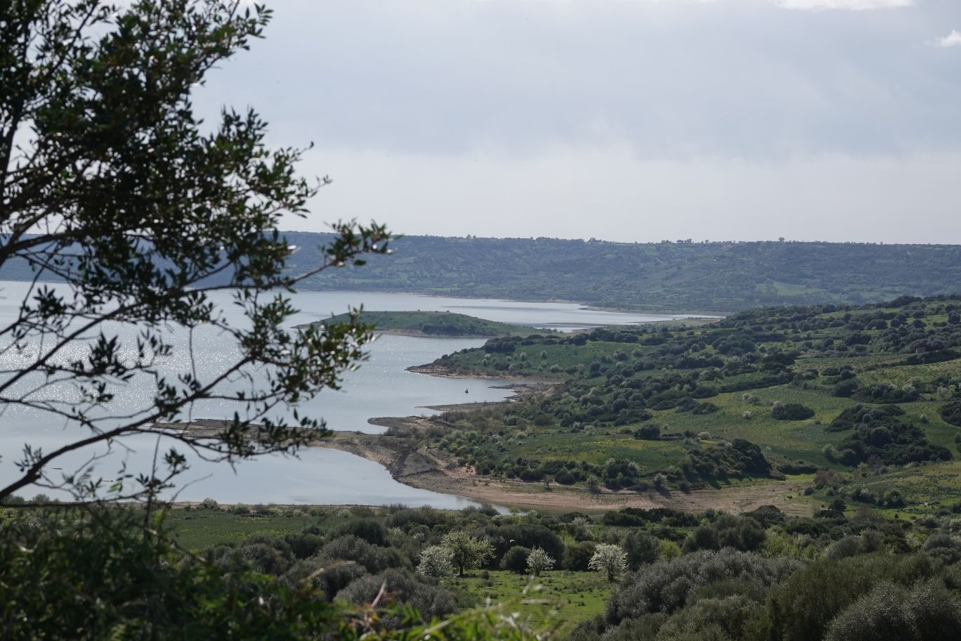 ES_06490.JPG