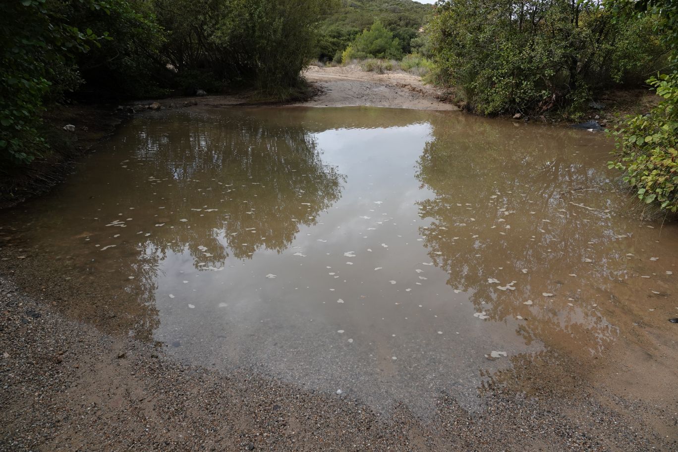 Der Furt am 04.10.2024. Viele kehrten um, denn die Tiefe war nicht sehbar
