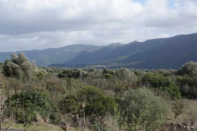 ES_07528.jpg