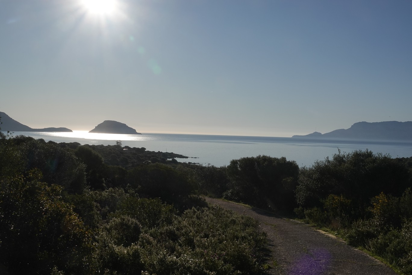 Heute Morgen, nachdem Gino seinen Ausgang hatte