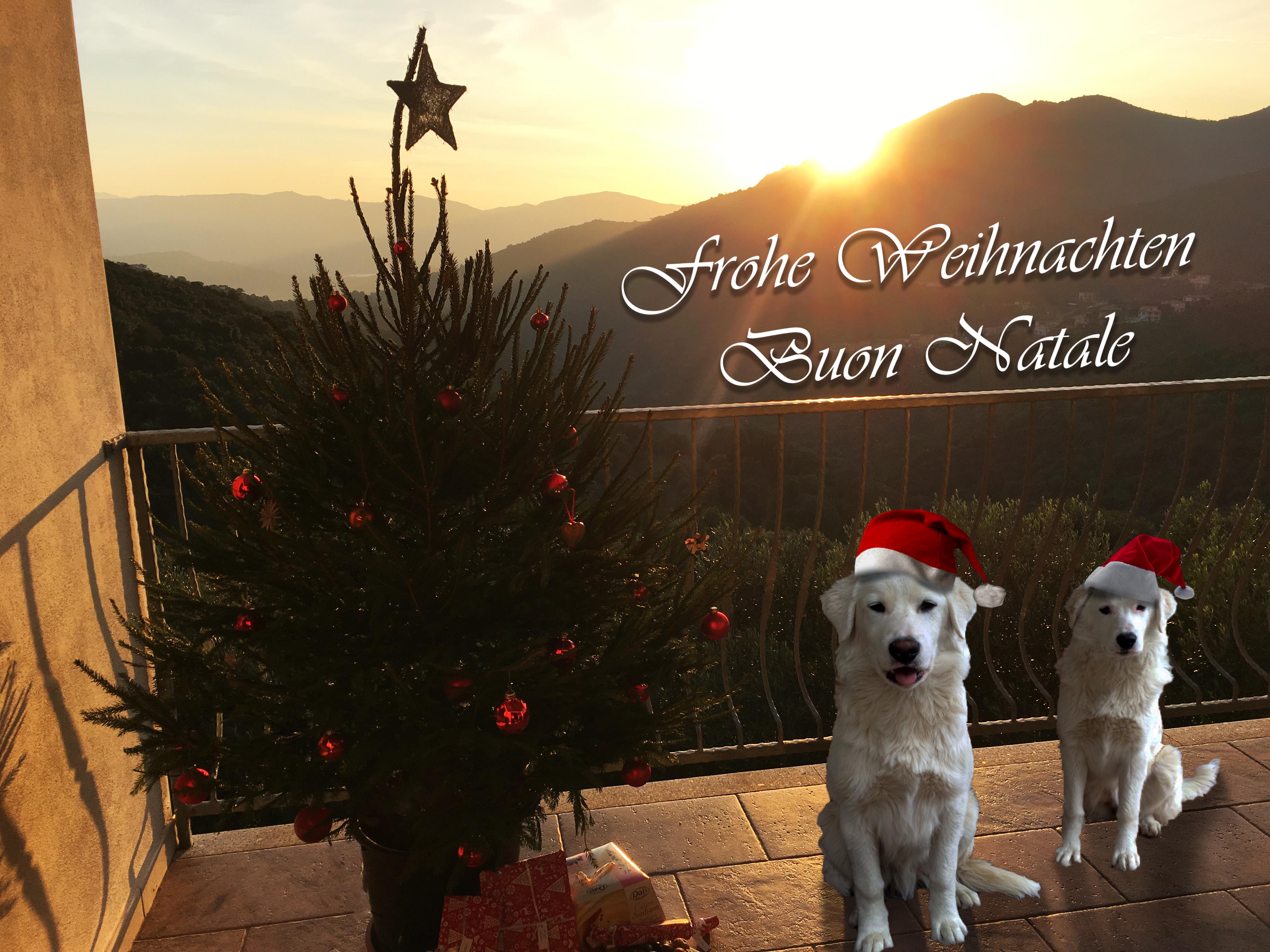 Weihnachten 2918.jpg