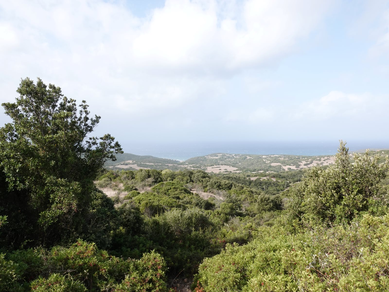 Costa Verde pur - nach Regen auch Sonne