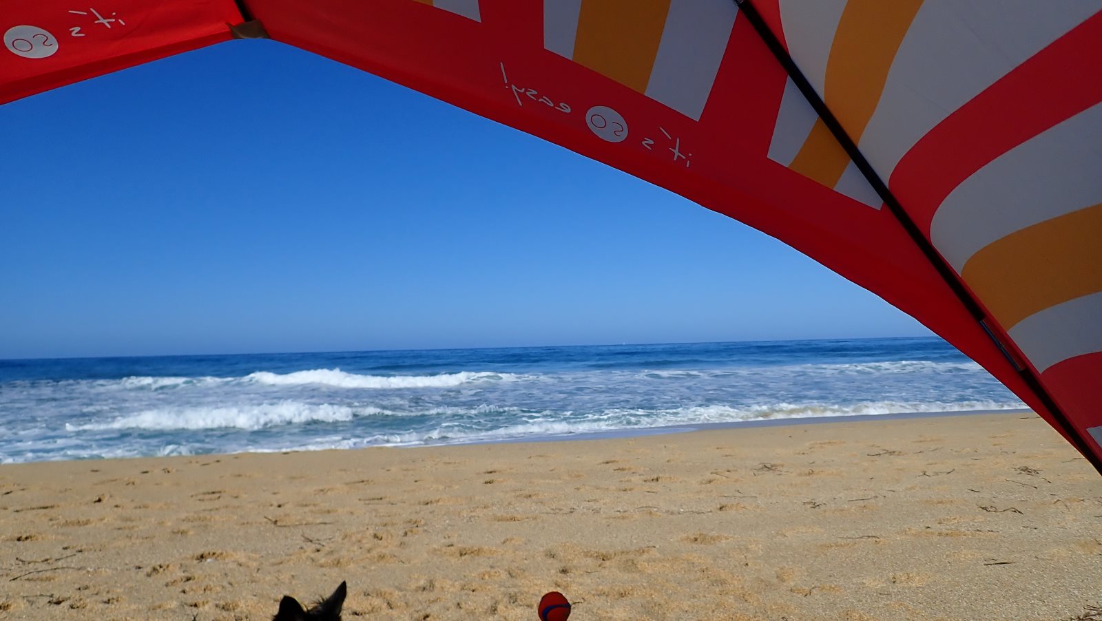 Schlappe 10 Meter, den "Berg" runter zum Wasser